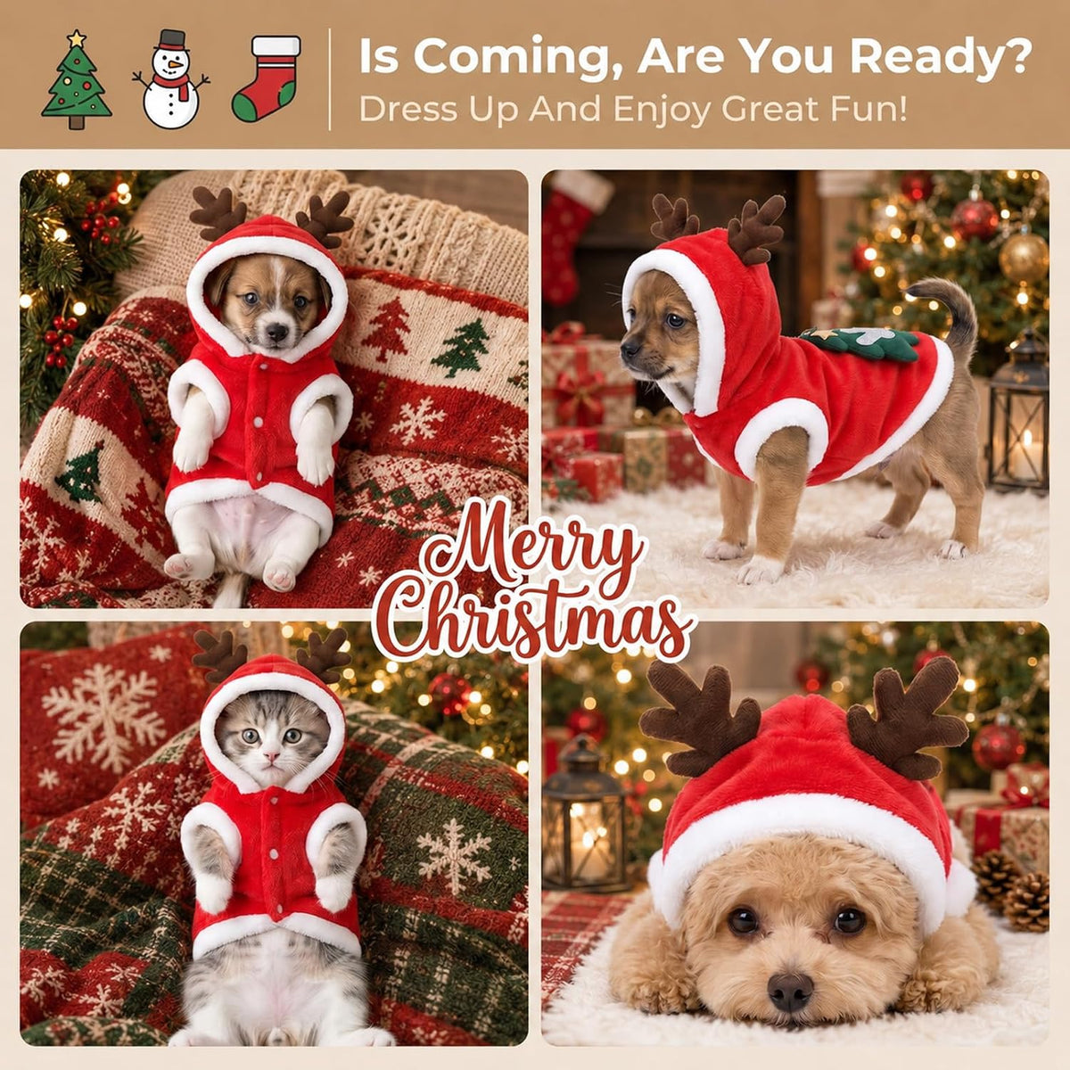 MerryCharm Christmas Pet Outfits
