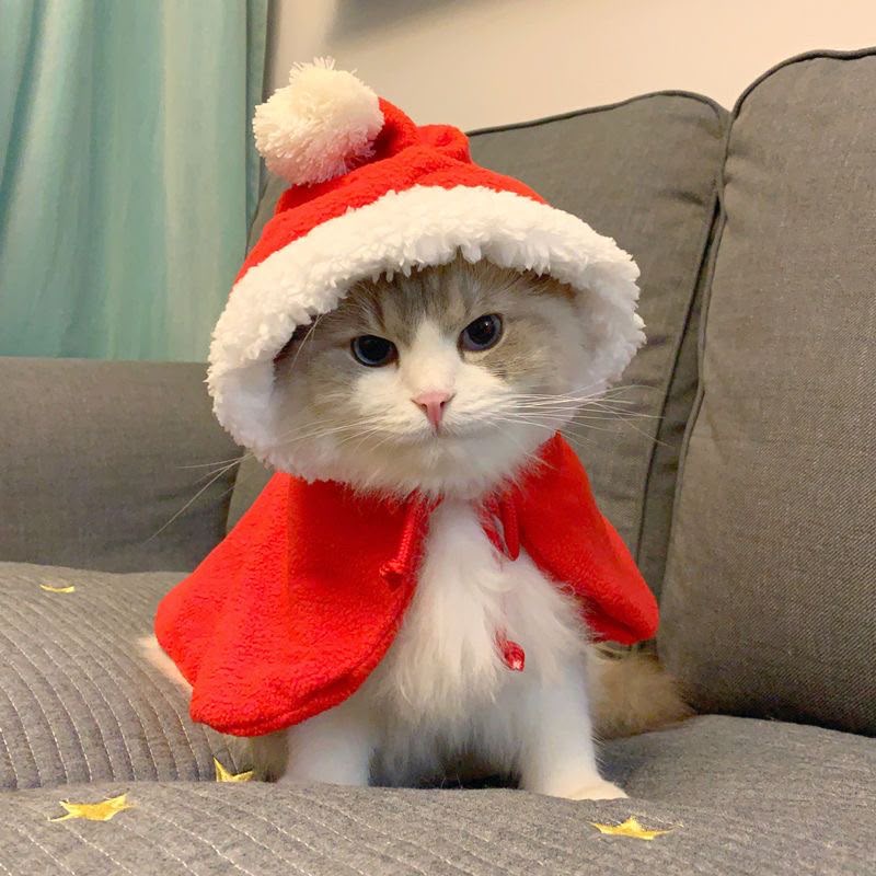 MerryCharm Christmas Pet Outfits